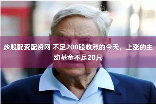 炒股配资配资网 不足200股收涨的今天，上涨的主动基金不足20只