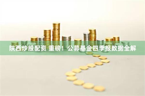 陕西炒股配资 重磅！公募基金四季报数据全解